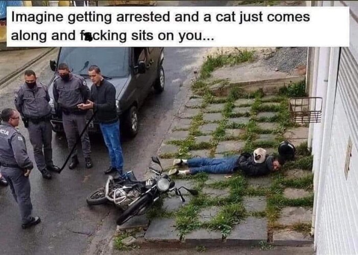 Man ligger på marken med en katt sittande på hans rygg, medan poliser pratar bredvid en kraschad motorcykel.