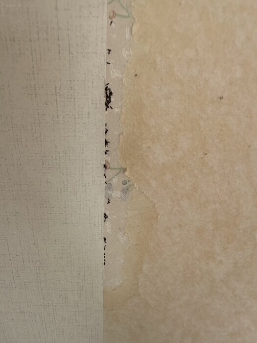Små kornliknande bitar i en springa mellan tapeter, bruna och smular sönder vid beröring, okänd substans.