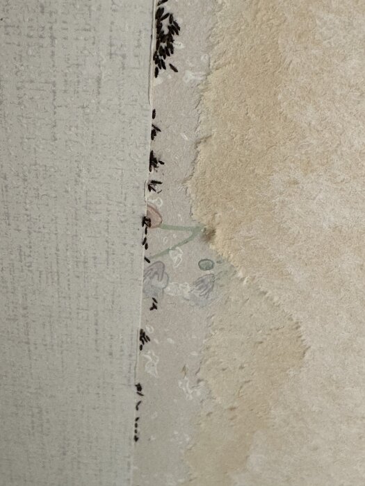 Små svarta partiklar eller korn längs en väggkant, ser ut att smula om de berörs.