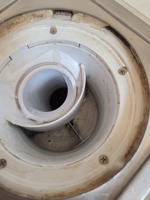 Närbild av en duschbrunn med synligt vattenlås, lite vatten och bruna avlagringar runt kanterna.