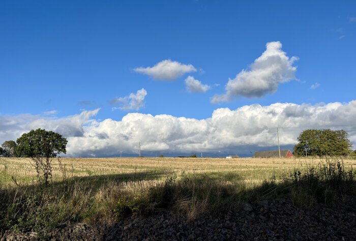 Massiva vita moln över ett fält med blå himmel i bakgrunden, ett träd och en röd stuga syns avlägset.