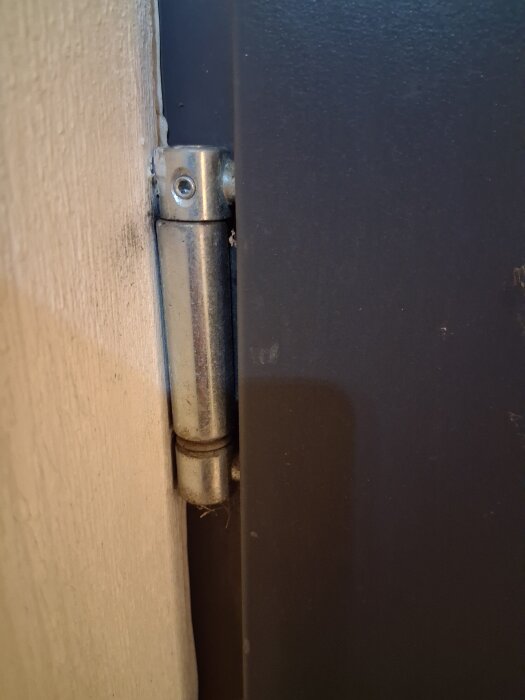 Gångjärn på sne ytterdörr, visande metallgångjärn med synlig skruv, monterat på en mörkfärgad dörr och ljus dörrkarm.