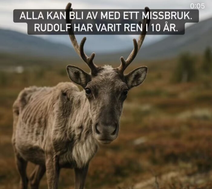 Ren i ett naturlandskap med text om att bli fri från missbruk.