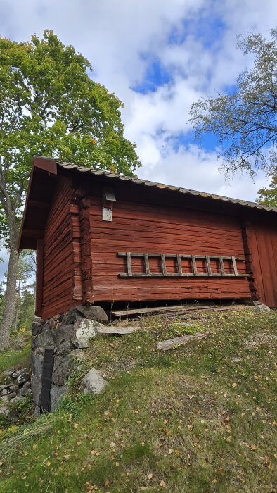 Äldre timrat uthus i skogsmiljö med röd fasad och stege, planerat för ombyggnad till bastu.