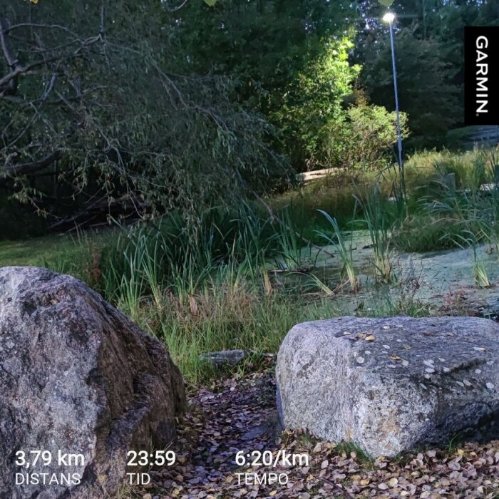 Stenblock omgivna av grönska vid en damm i skymningsljus, med statistik från en löprunda på skärmen.