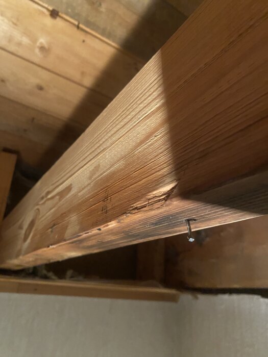 Träbalk med fuktskada och mörka fläckar samt en synlig spik.