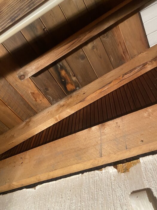 Tak med mörka fuktskador på träpaneler och bjälkar.