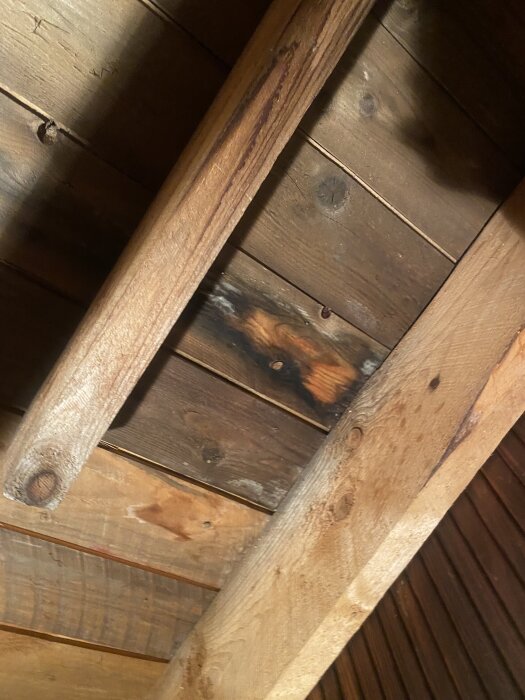 Fuktskada på innertak med mörka fläckar på träpanelen.