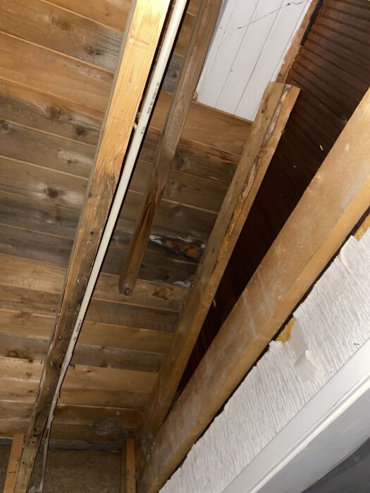 Fuktskada i träpanel på innertak, visar blötta och mörka partier bland ljusare trävirke.