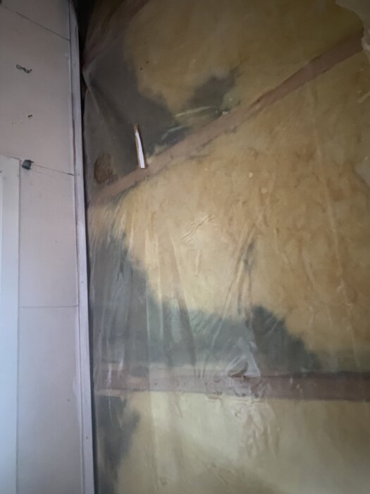 Fuktskadad vägg med svart mögel och fuktfläckar under plastmembran.