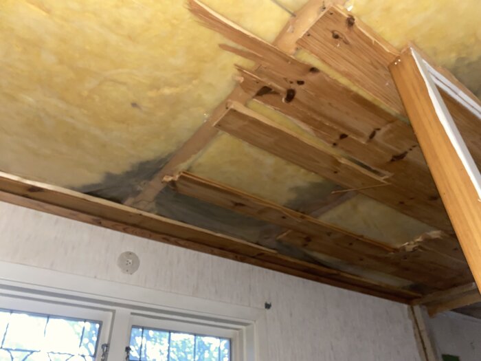 Skadad innertakspanel med mörka fläckar av fukt.