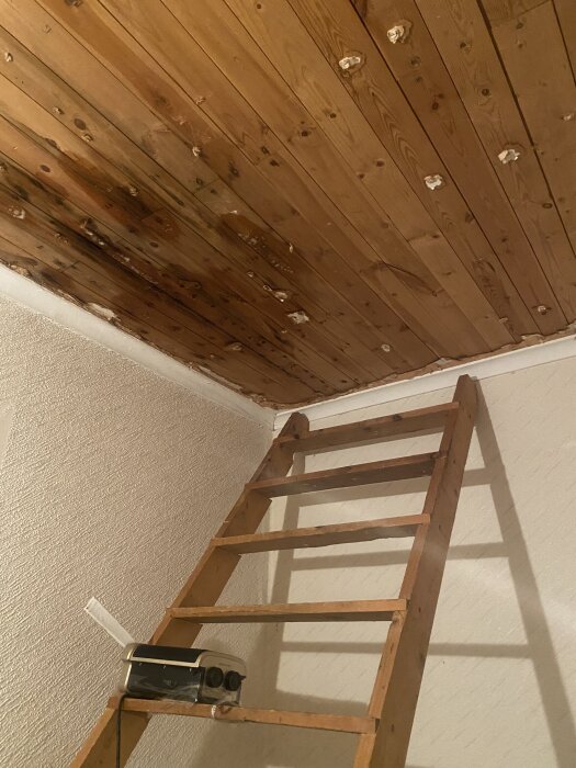 En trästege lutar mot en vägg, synligt mörknat innertak av trä med tecken på mögelskada, möjligtvis från vattenläcka.