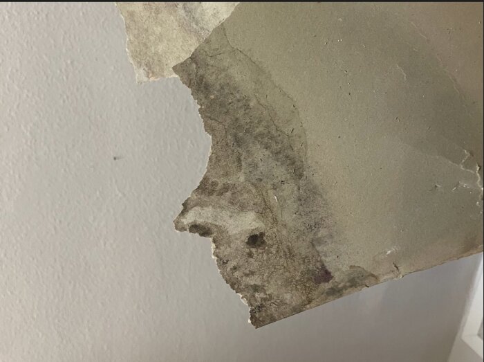 Bild på en gipsskiva med tydliga fuktfläckar och missfärgning i ett rum med takkupa, tecken på potentiellt vattenläckage.