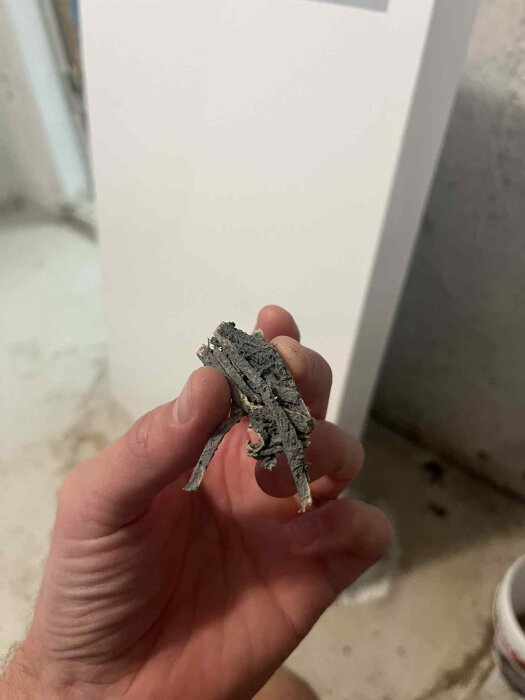 En hand håller en klump av blågråa fibrer från ett innertak i pannrum, huset byggt 1934, misstänkt asbestmaterial.