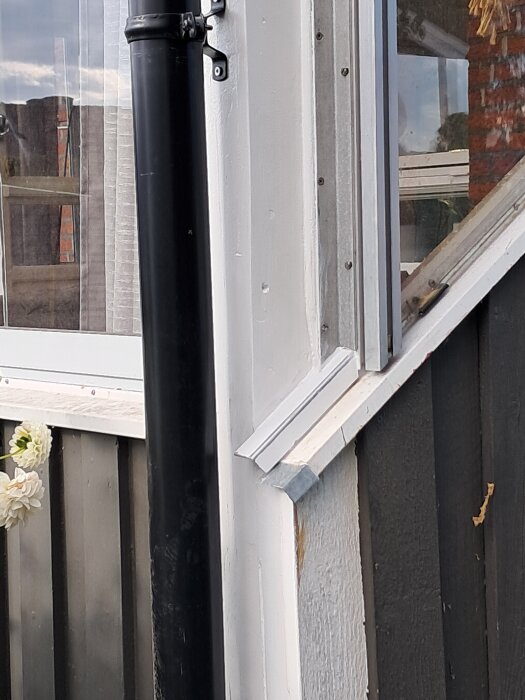 Närbild av ett fönster med vitmålad karm och svart stuprör på en fasad. Några vita blommor syns bredvid.