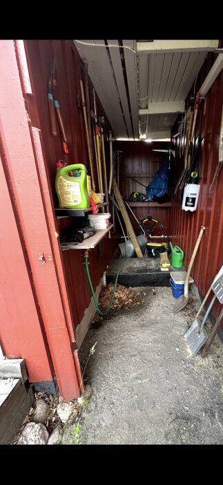 Förråd med rödmålad vägg, trädgårdsverktyg hänger på väggen, hylla med trädgårdstillbehör och en vattenkanna syns på golvet.