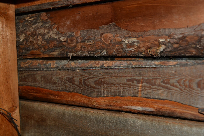 Närbild av trävägg med synlig bark och årsmönster.