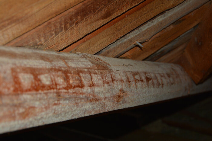 Taket med brun och vitaktig beläggning, eventuellt mögel.