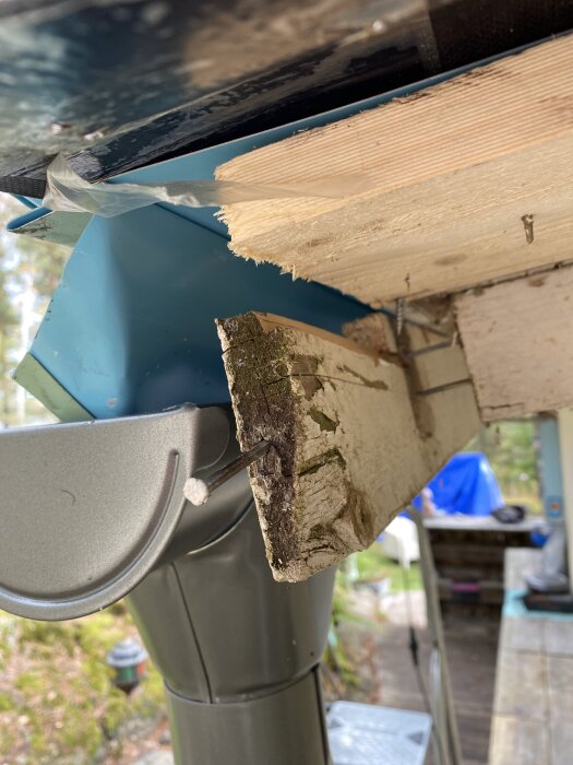 Skadad vindskiva med spik och avskavd träyta, bredvid en blå byggdel och takränna, efter borttagning för målning.