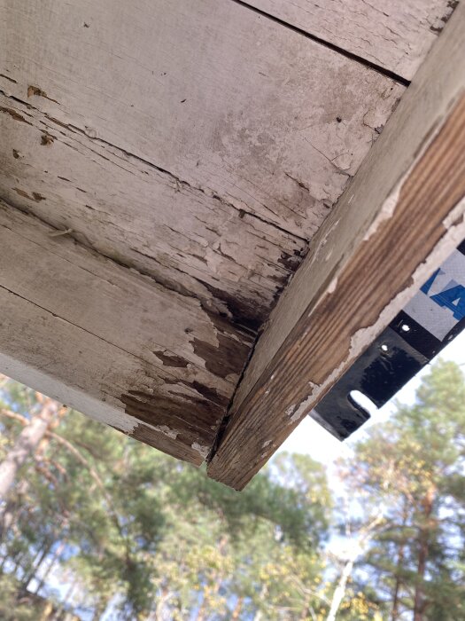 Närbild av tak med avskalad färg, där vindskivor tagits bort för målning. Träd och klar himmel syns i bakgrunden.