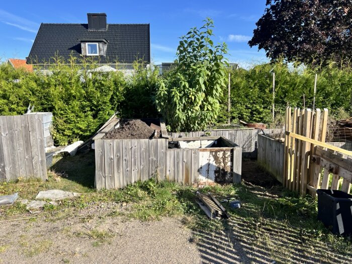 En trädgård med flera odlingslådor, en del av dem delvis rivna, omgivna av häckar och ett hus i bakgrunden.
