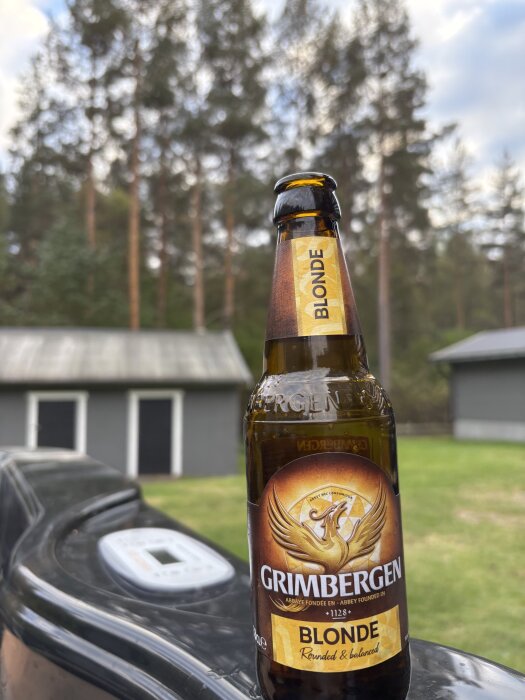 Ölflaska av märket Grimbergen Blonde står på en uteplats med träd och förråd i bakgrunden.