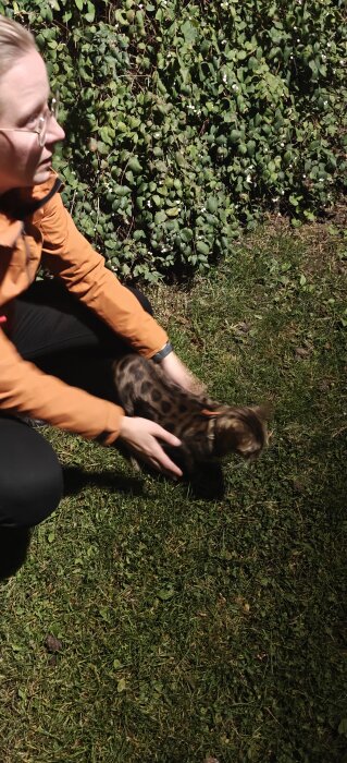 Person i orange jacka håller en katt på gräs framför en buske.