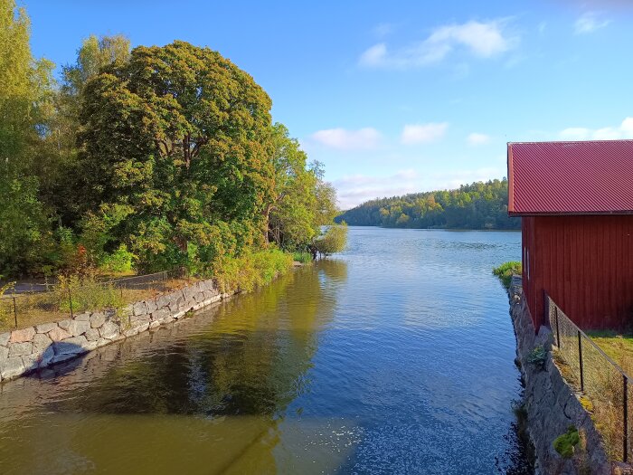 Sjölandskap på hösten med en röd stuga till höger, gröna träd till vänster, klarblå himmel och spegelblankt vatten.
