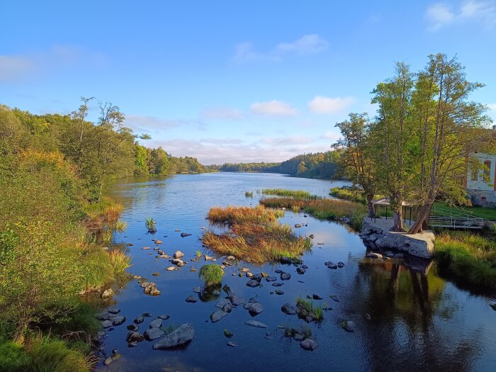 Höstlandskap med reflekterande sjö, omgivna av träd och växtlighet, under en klarblå himmel.
