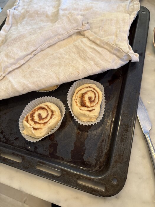 Bakplåt med jäsande kanelbullar under en kökshandduk, redo för gräddning. Kanelbullens dag-firande.