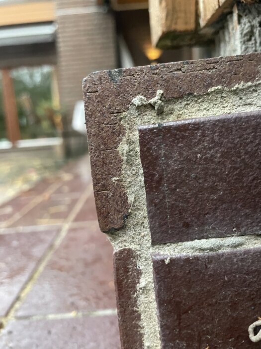 Närbild av mörkbrun högsnäsklinker, monterad på en trappa med synligt bruk i fogarna.