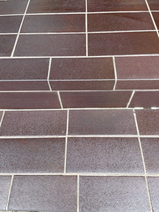 Mörkbruna klinkerplattor på en utomhustrappa, inklusive framkantplattor, för renoveringsändamål.