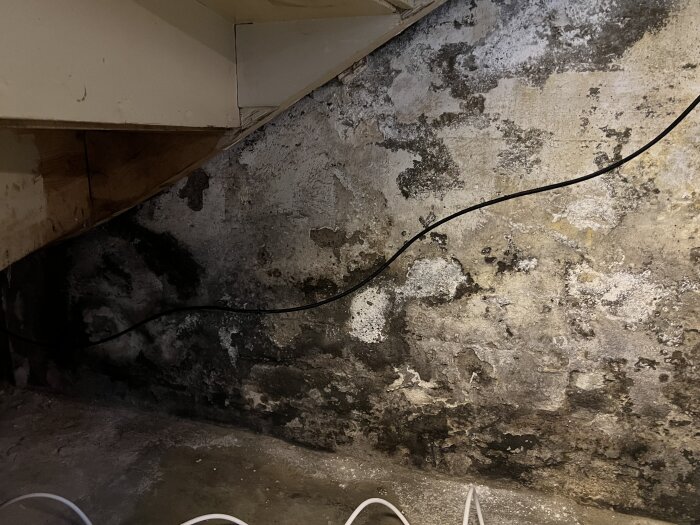 Möglig källarvägg med flagnande puts och mörka fuktfläckar, samt en synlig elkabel, under en trappa.