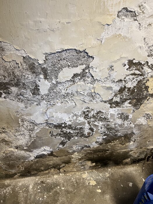 Avflagnad puts och mörka fläckar på en källarvägg från 30-talet, visar fukt- och mögelskador, med behov av reparation och ommålning.