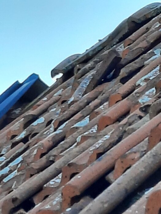 En närbild på ett tak med ojämnt placerade takpannor och skadad plåt, fotograferad snett uppåt mot himlen.