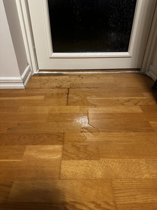 Ytterdörr med vattenläckage på trägolv i ett radhus, fukt och droppar synliga.