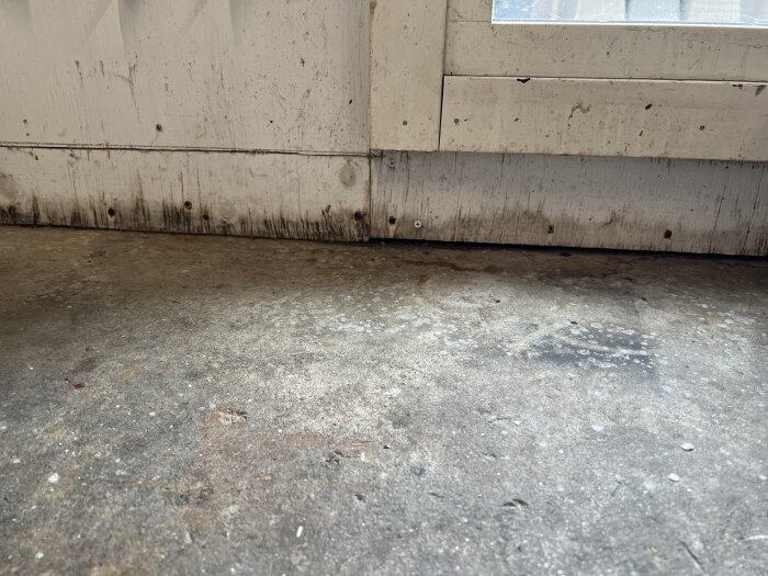 Fuktfläckar och mögel syns på nederdelen av en putsad vägg vid syll i ett förråd, vilket indikerar vatteninträngning.