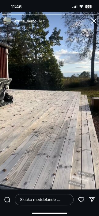 Nybyggd altan i trä med utsikt mot en skog och klarblå himmel. Några löv ligger utspridda på altanen.