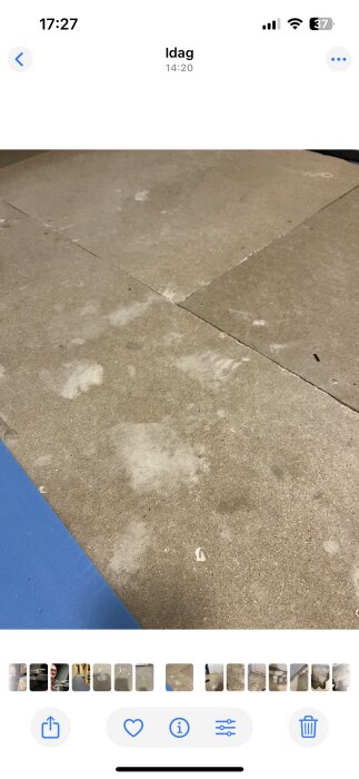 Betonggolv med vita fläckar som kan vara vitmögel i en källare. Blå matta synlig i hörnet.