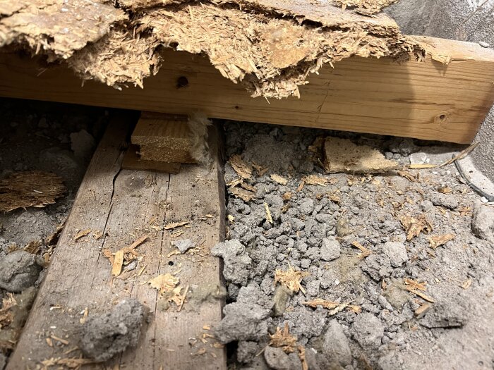 Fastgjutna bjälkar i en källare med trärester och vitaktig beläggning, potentiellt vitmögel, under rivet golv med fuktspärrsmatta.