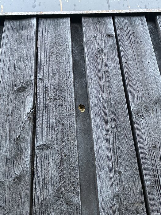 Ett hål mellan träbrädor på en vägg, där fåglar har hackat och plockat ur isolering.