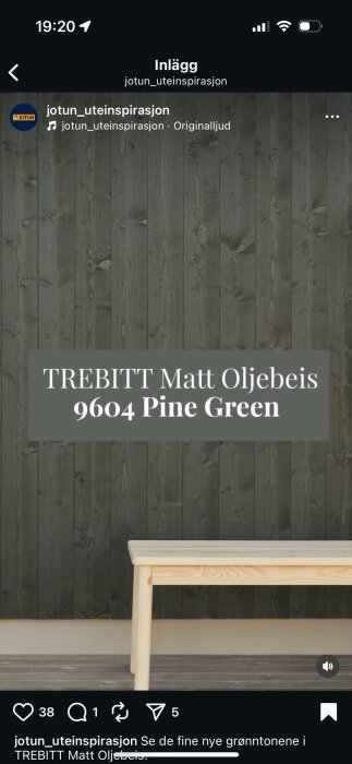 Träpanel målad i Trebitt Matt Oljebeis 9604 Pine Green, med en ljus träbänk framför.
