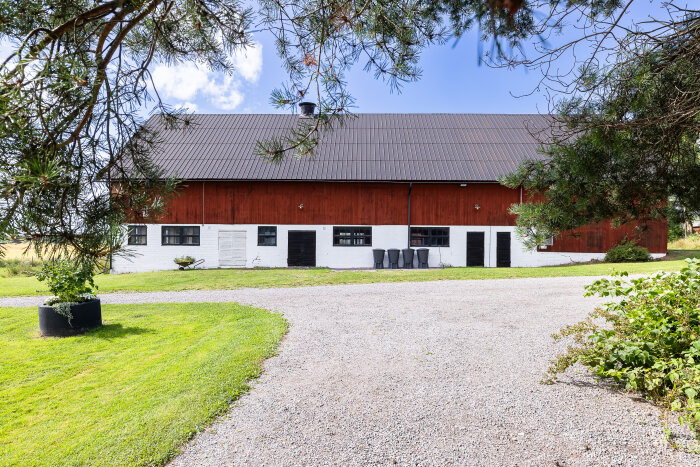 Röd ladugård med vit sockel på gård, omgiven av träd och gräsmatta, grusplan i förgrunden under klarblå himmel.