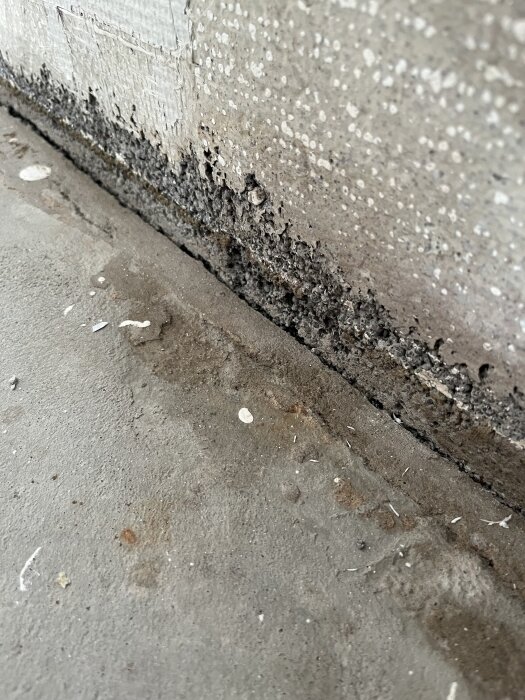 Spricka mellan golv och betongvägg med fukt och eventuell skada synlig.