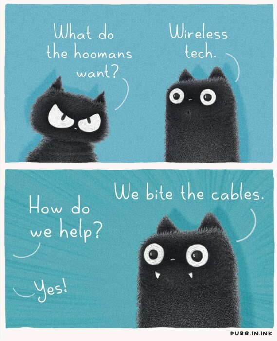 Två tecknade svarta katter diskuterar hur de kan hjälpa människor genom att bita kablar för att skapa trådlös teknik.