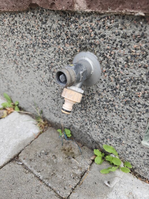 Utomhuskran på en vägg av grovputsad betong, med gul handtagskoppling, omgiven av markplattor och små växter.