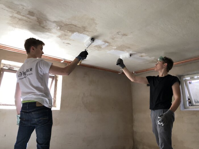 Två unga män målar ett innertak med färgrollers i ett renoverat rum med vitkalkade väggar och kopparrör synliga ovanför fönstren.