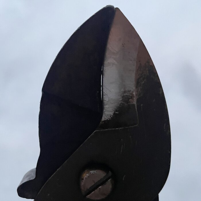 Närbild på bladen av en grenklippare där höger sida har raspats för att förbättra funktionen.
