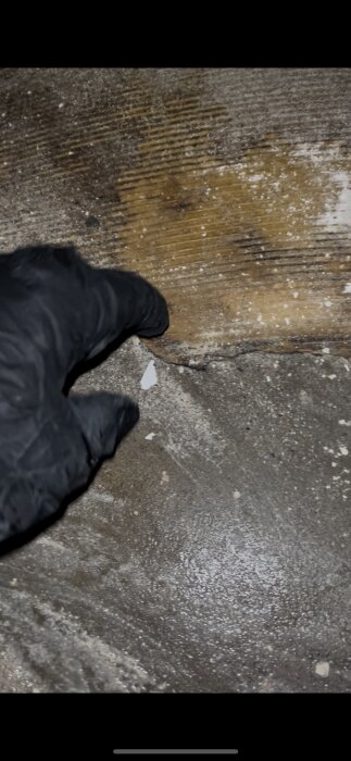 En person med handske undersöker en del av ett gammalt köksgolv där papp- eller kartongmaterial täcker betongen. Golvet ser fuktigt ut.