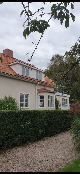 Hus med takkupa under renovering, omges av häck och träd. Ställning och stege syns runt kupan. Molnig himmel i bakgrunden.